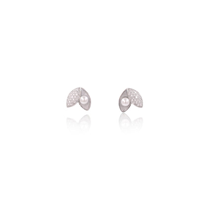 Silver Seashell Pearl Earrings