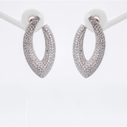 Silver Dazzling White Stone Earrings